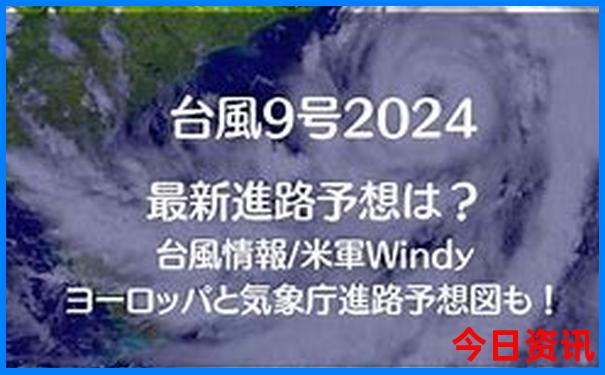 管家婆白小姐四肖四码概述